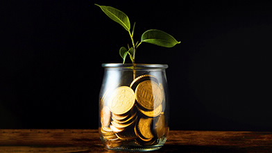 Pote com dinheiro e uma planta, representa os Seguros de Capiitalização da BPI Vida e Pensões.
