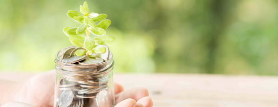 Mãos seguram pote com dinheiro e nasce uma planta, a pensar na Poupança Reforma da BPI Vida e Pensões.